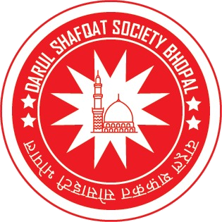 DSS logo